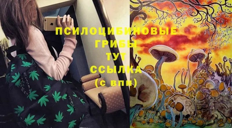 Галлюциногенные грибы MAGIC MUSHROOMS  где продают   Баймак 